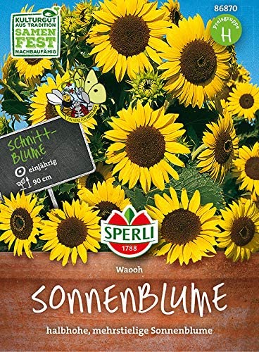 Sperli Sonnenblumensamen, Waooh