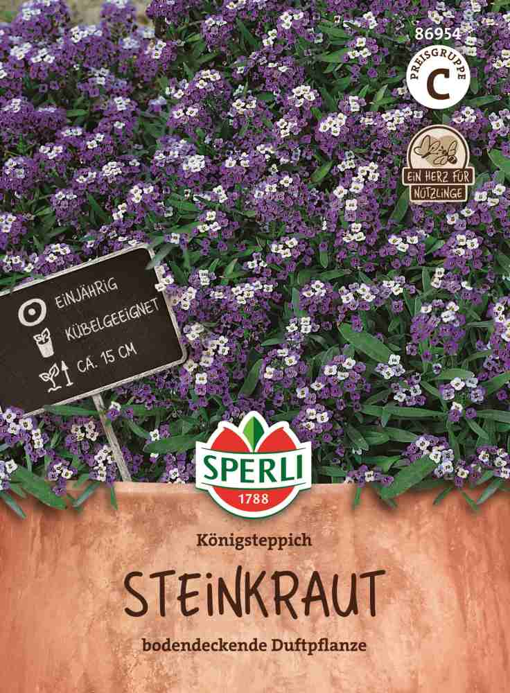 Steinkraut, Königsteppich