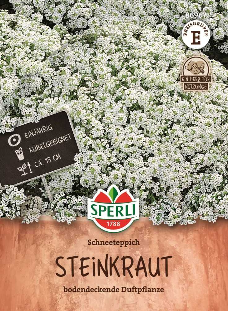 Steinkraut, Schneeteppich