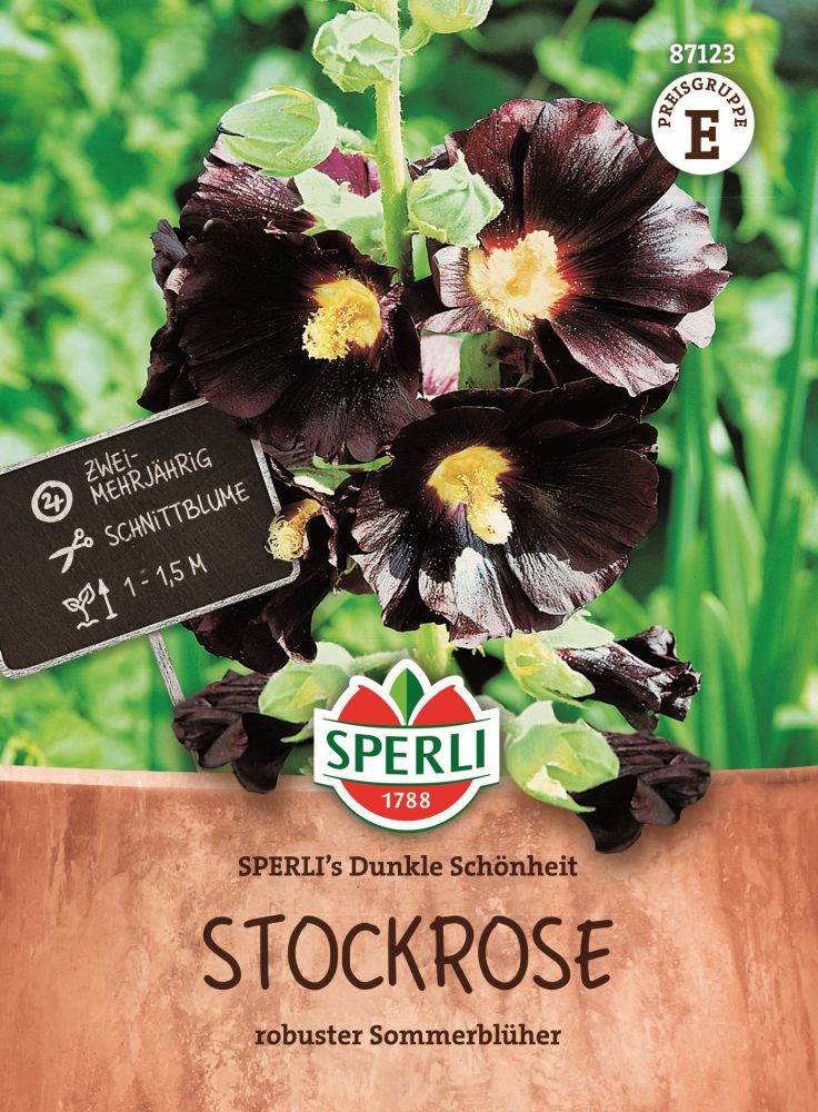 Sperlis Dunkle Schönheit, Stockrose