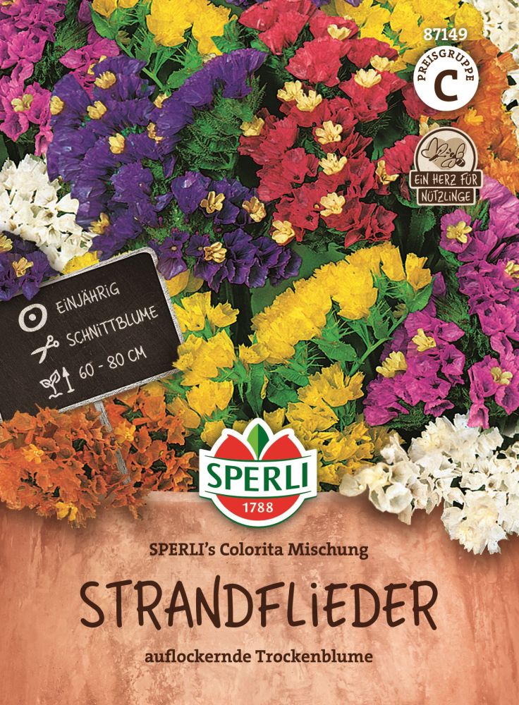 Sperlis Colorita Mischung, Strandflieder