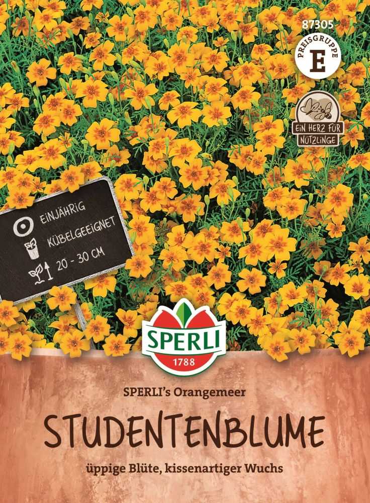 Sperlis Orangemeer, Studentenblume