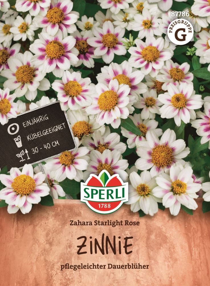 Zinnie, Zahara Starlight Rose