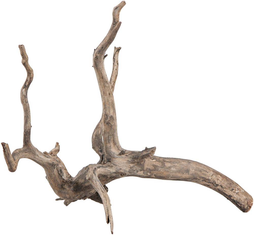 Sera Scaper Root XS 18-20 cm