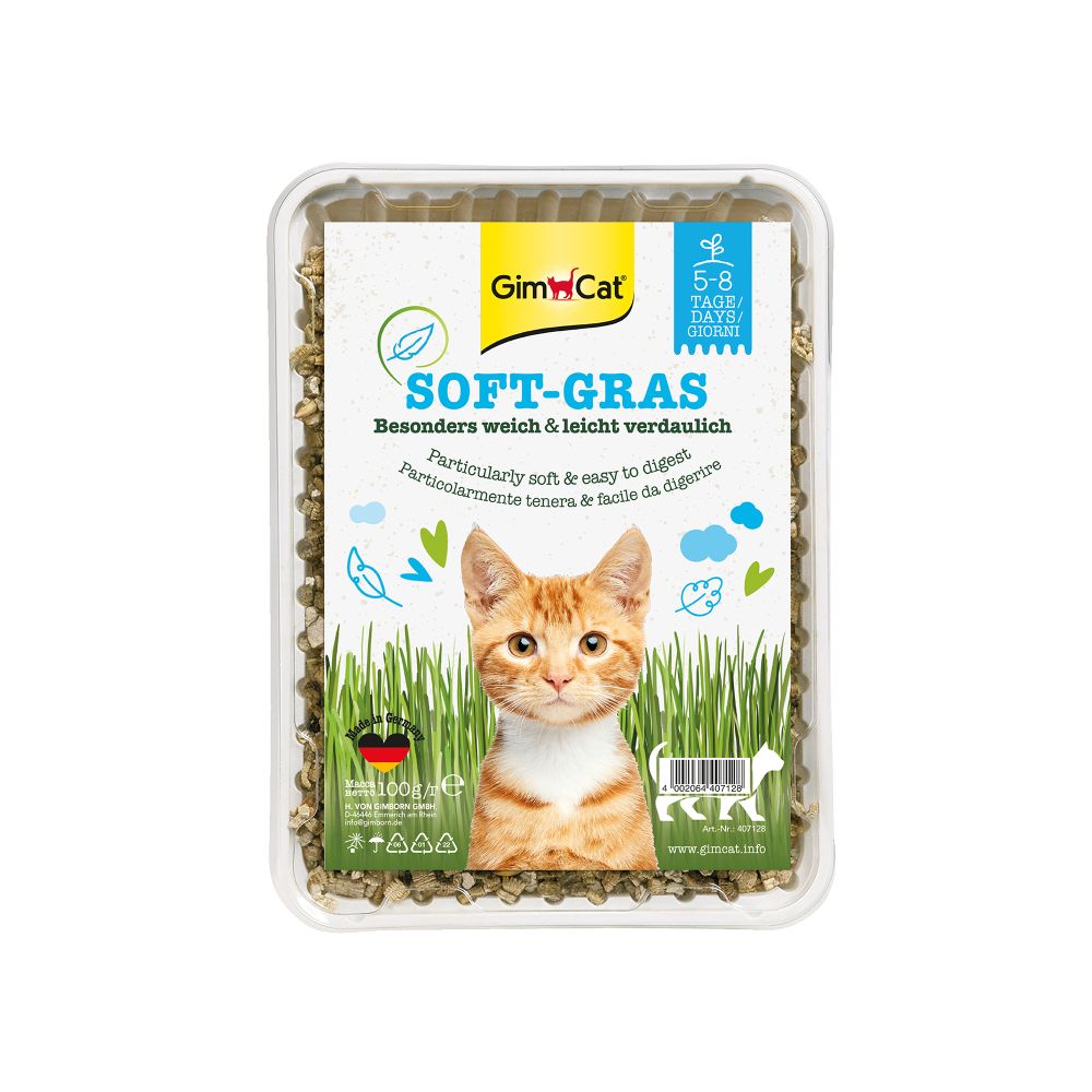 GimCat Katzengras 100g Softgras