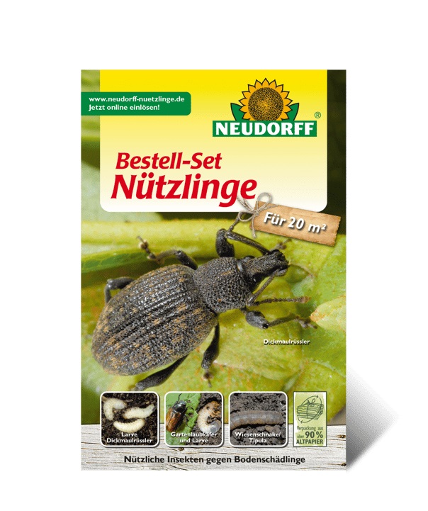 Bestell-Set Nützlinge gegen Bodenschädlinge