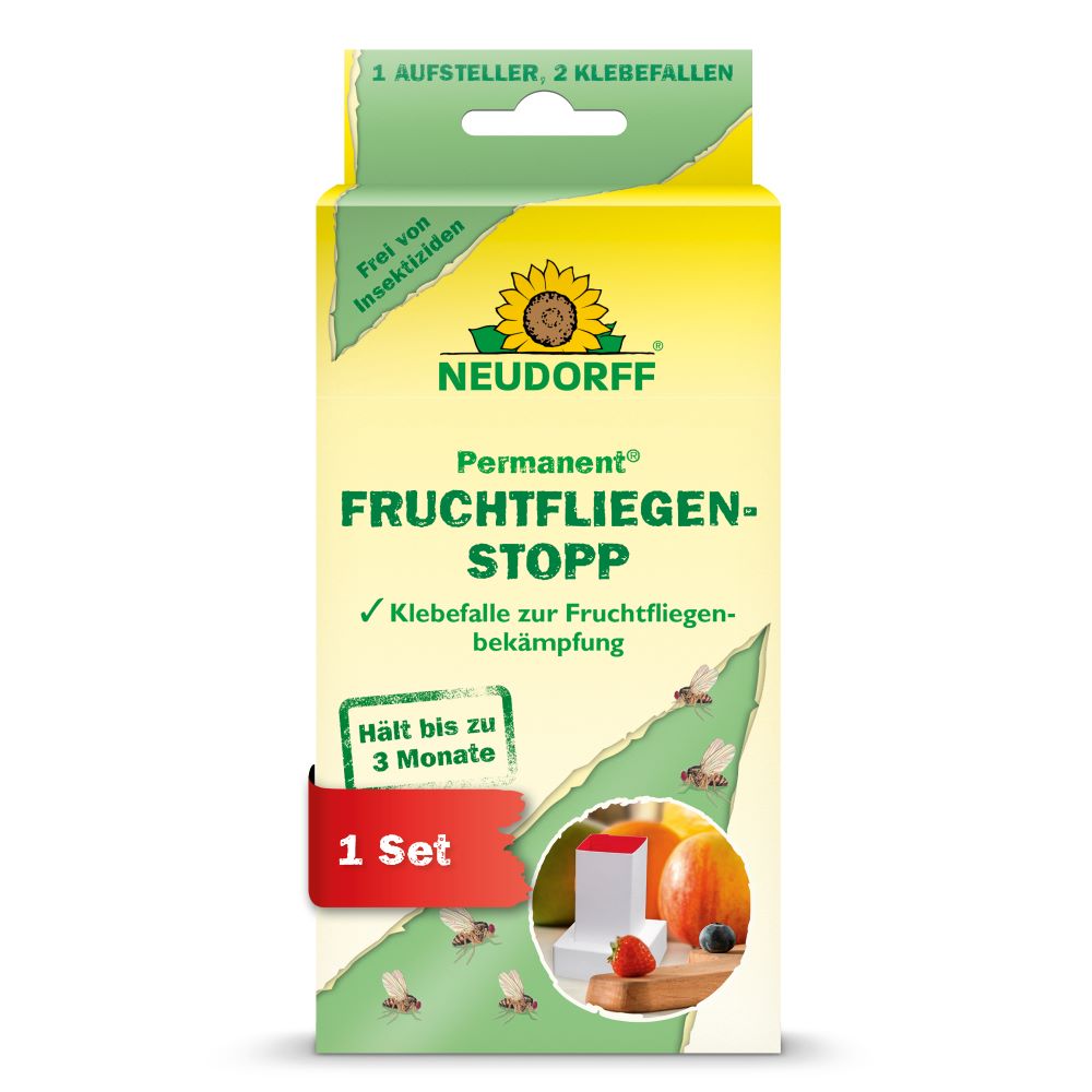 Permanent Fruchtfliegenstopp 1 Aufsteller + 2 Klebefallen