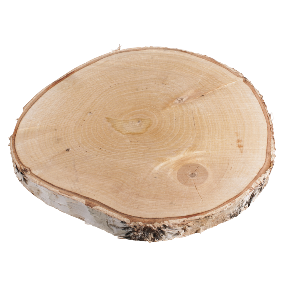Birkenscheibe Ø 25 – 28 cm ø