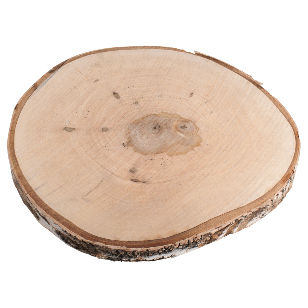Birkenscheibe 29-32cm ø