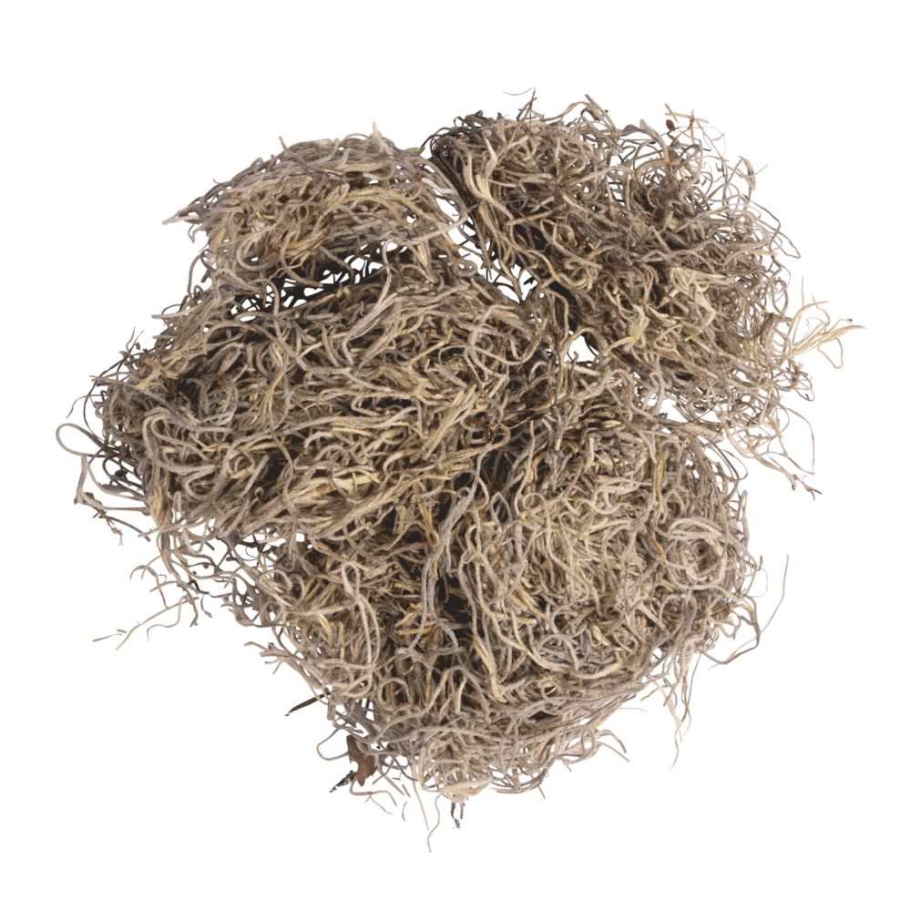 Dschungelmoos natur 20g