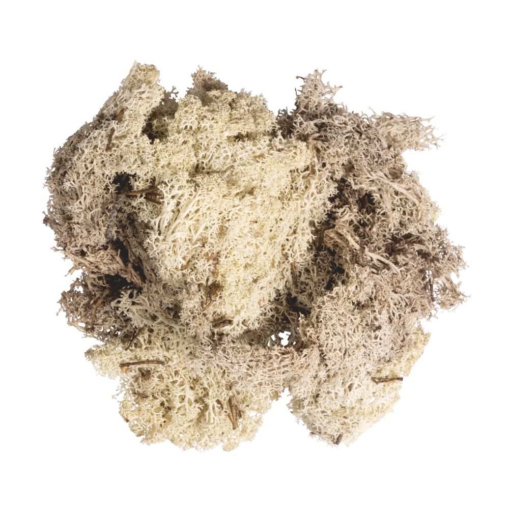 Islandmoos 100 g natur