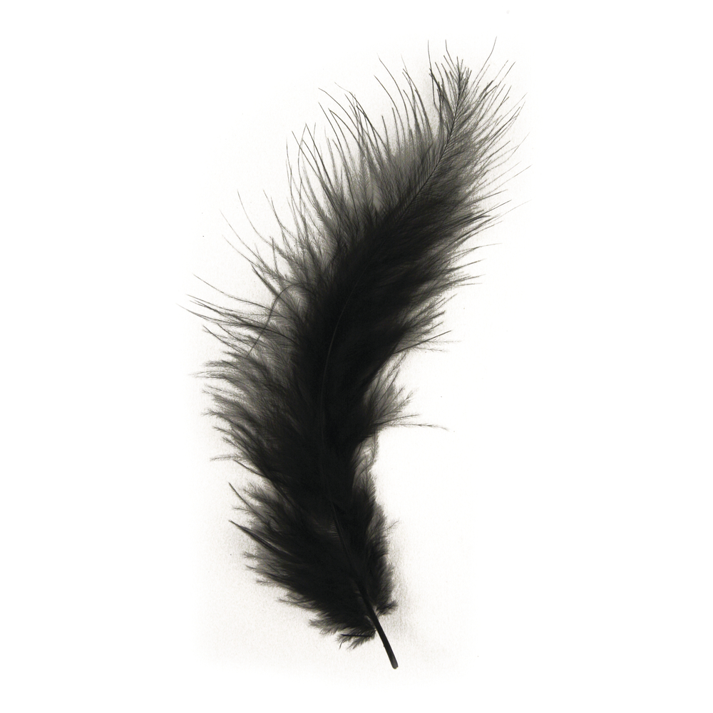 Flauschfeder schwarz 10 – 15 cm
