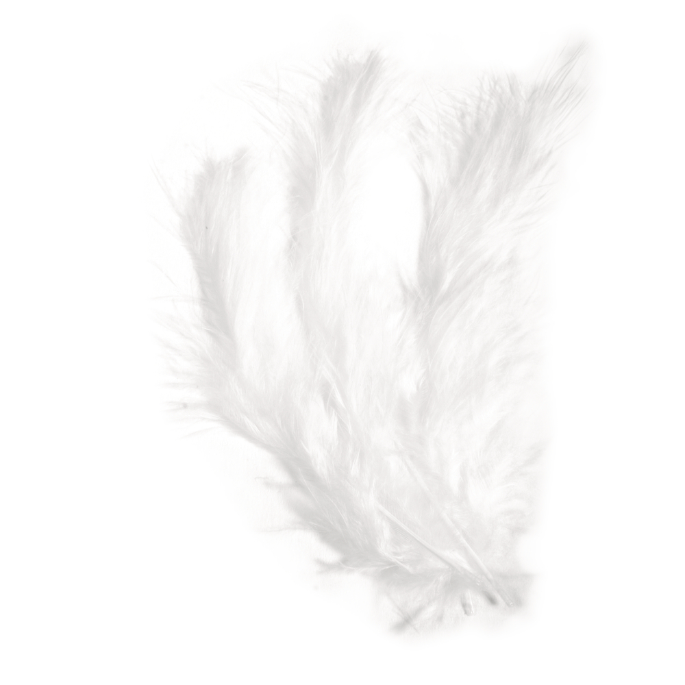 Flauschfeder weiß 10-15 cm