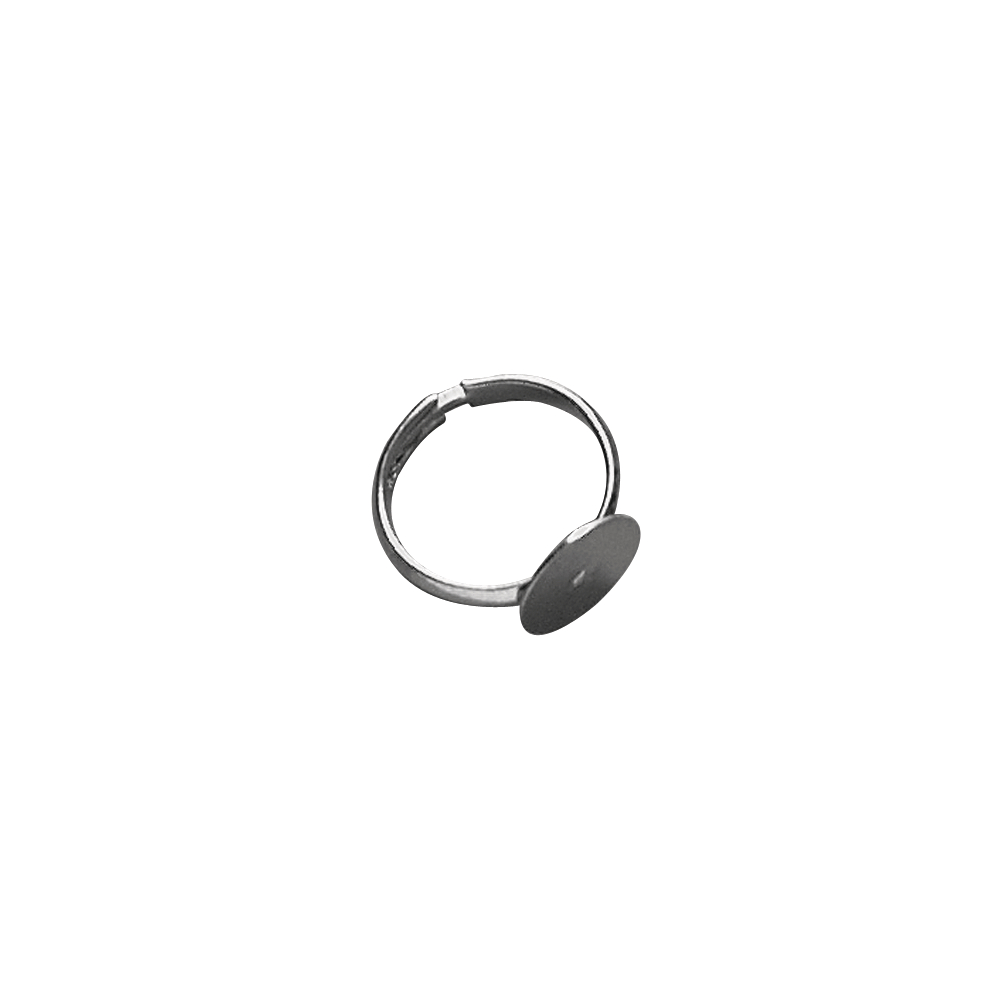 Ringschiene platin mit Platte, 12 mm ø