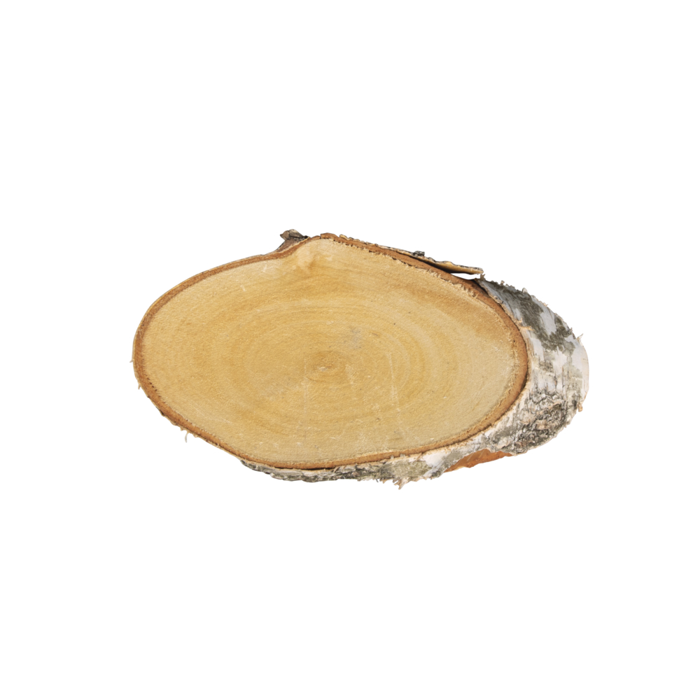Birken Scheibe oval natur