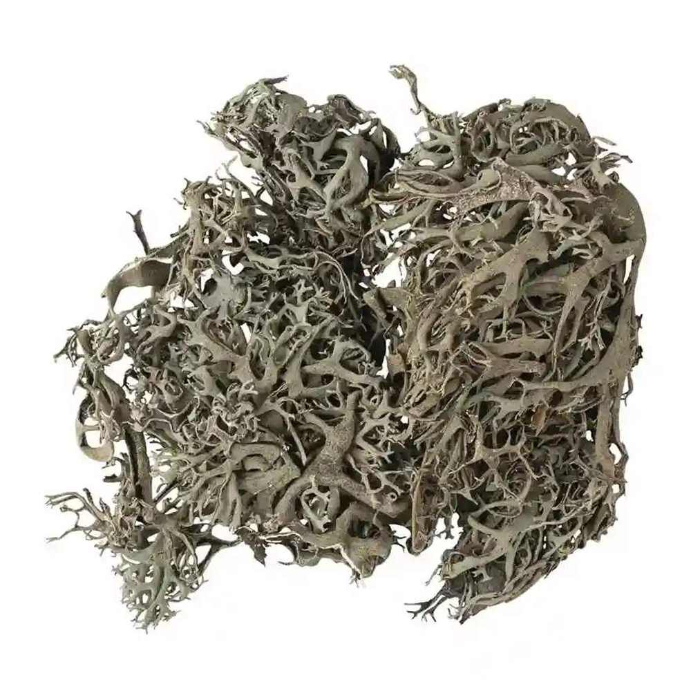 Flechten Moos, 20 g