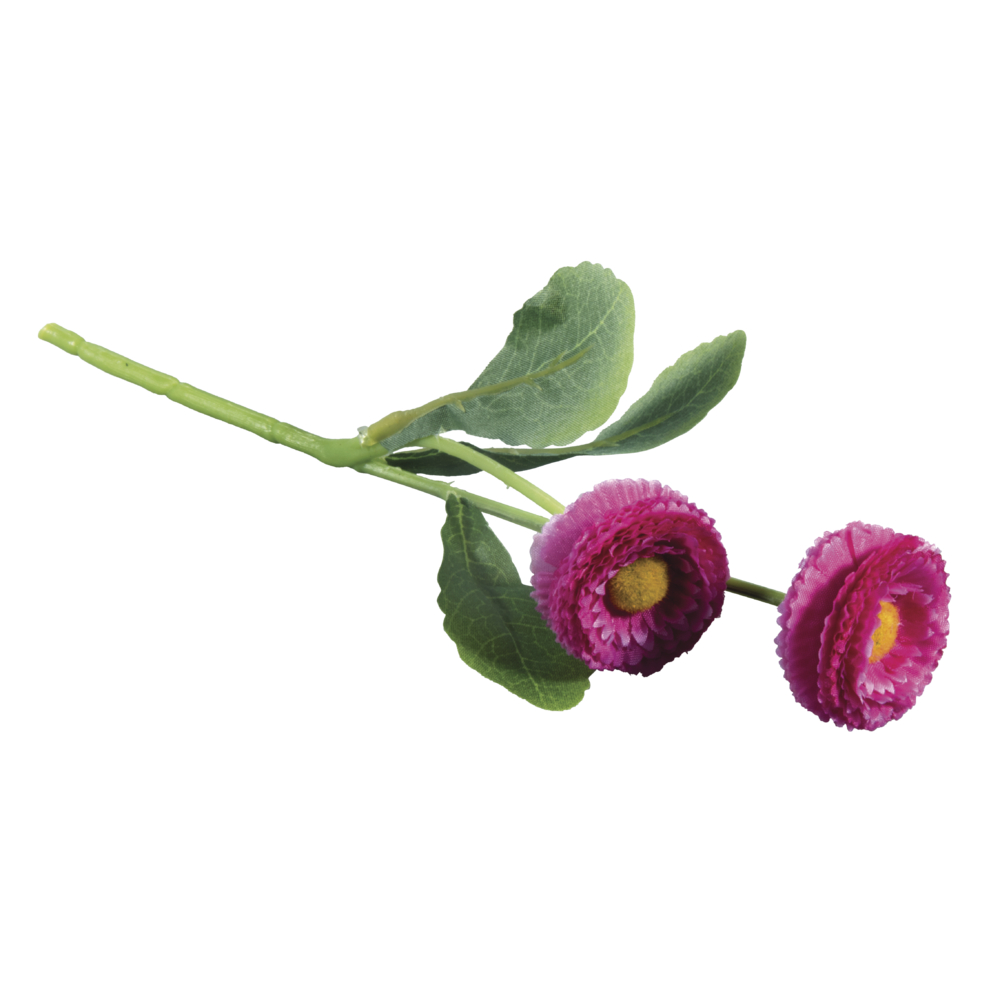 Maßliebchen Pick, pink