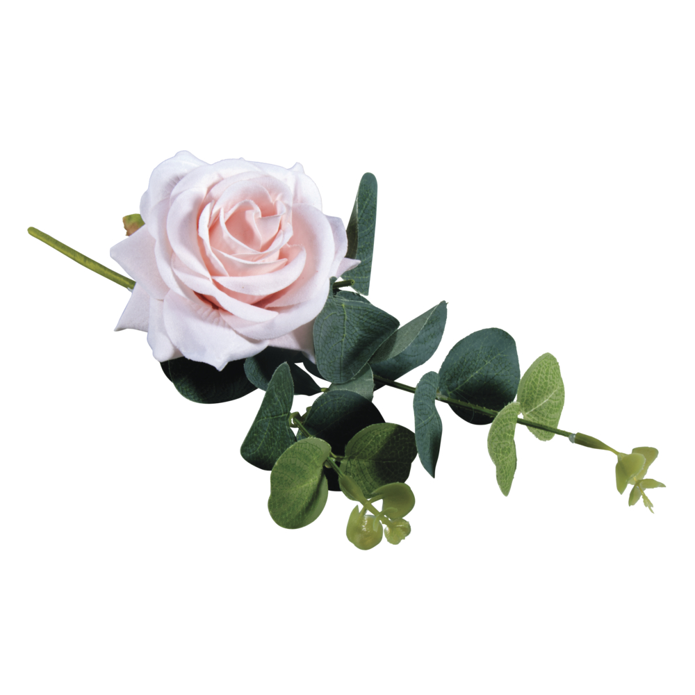 Rosen Pick mit Eukalyptus, rosé