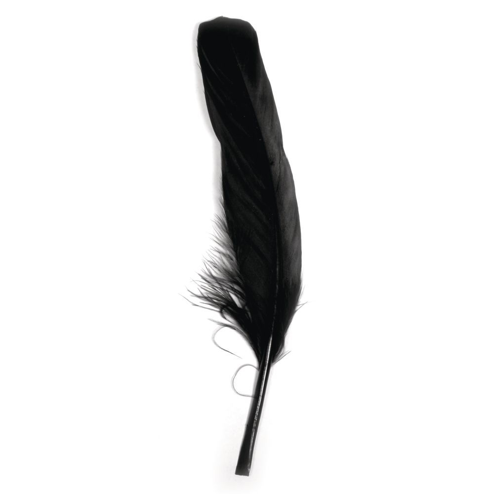Gänsefeder, schwarz