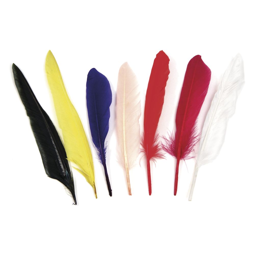Indianerfeder gemischt