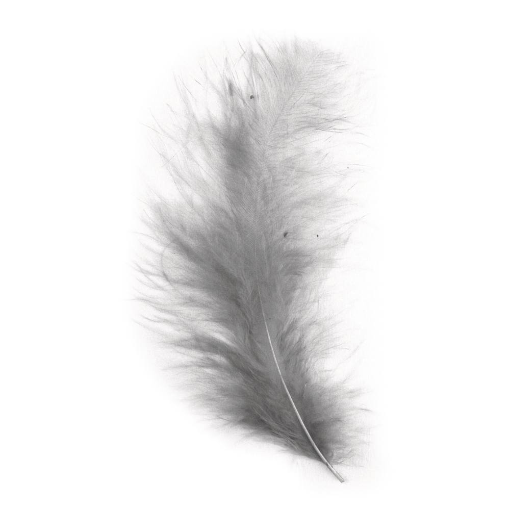 Flauschfeder grau