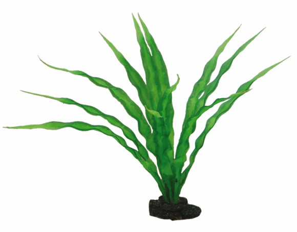 Hobby, Crinum, 29 cm