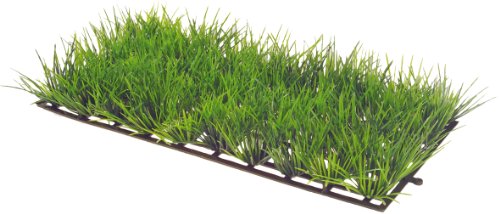 Hobby Plant Mat 1, 25 x 12.5 cm