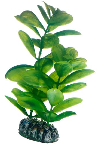 Hobby Saururus, 16 cm