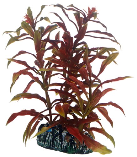Hobby Nesaea, 13 cm