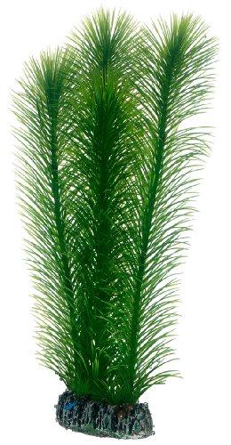 Hobby Mayaca, 25 cm