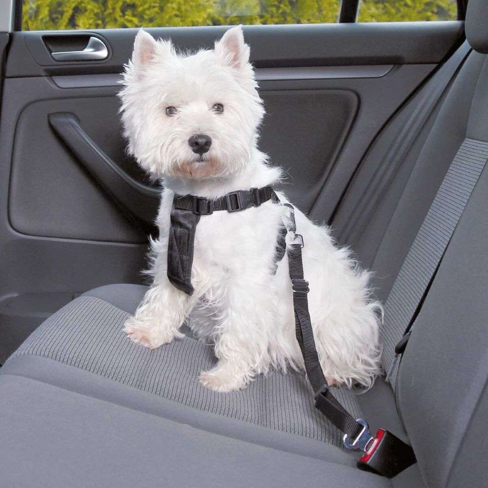 Trixie Auto-Sicherheitsgeschirr, XS / 20-50cm