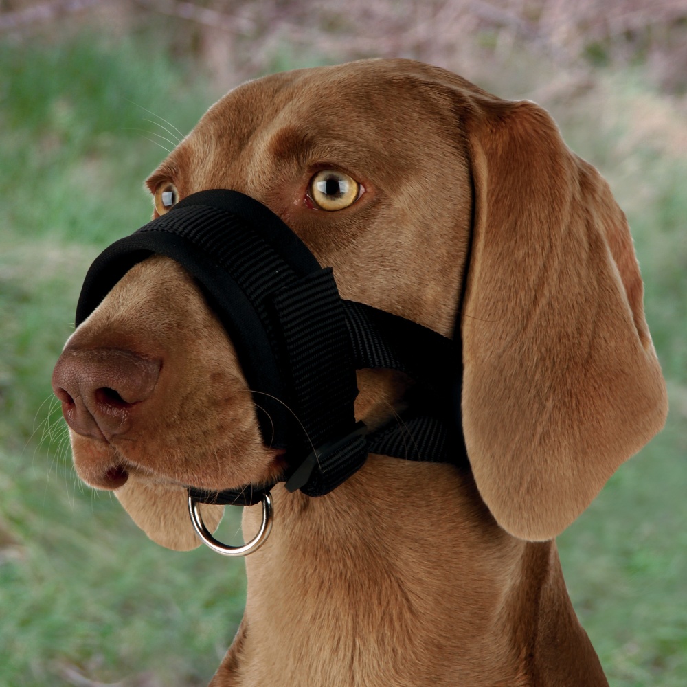 Trixie Maulschlaufe Nylon, XL: 23-34 cm