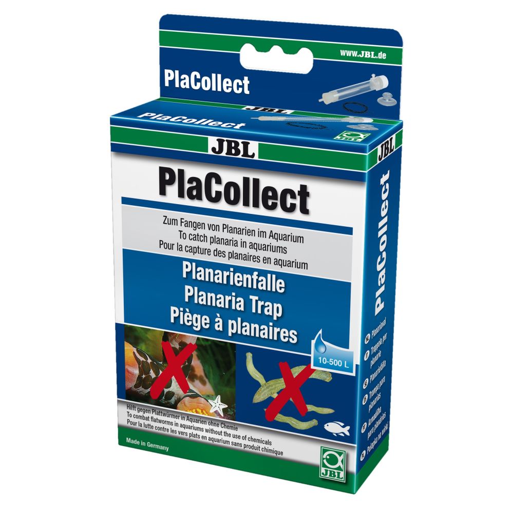 JBL PlaCollect Planarienfalle gegen Plattwürmer
