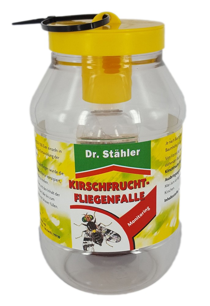 Kirschfruchtfliegenfalle