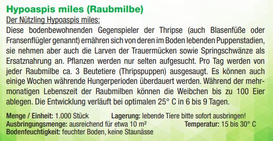 Dr. Stähler Hypoaspis miles (Raubmilbe)