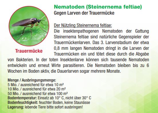Dr. Stähler Nematoden (Steinernema feltiae)