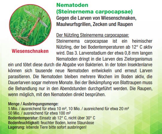Dr. Stähler Nematoden (Steinernema carpocapsae)