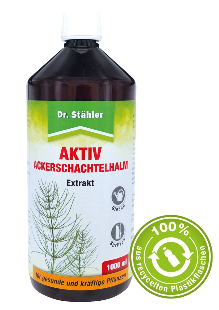 Dr. Stähler Aktiv Ackerschachtelhalm Extrakt 1l