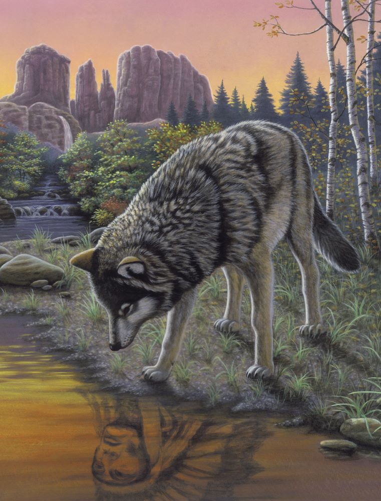 Malen nach Zahlen Junior, Wolf und Indianer