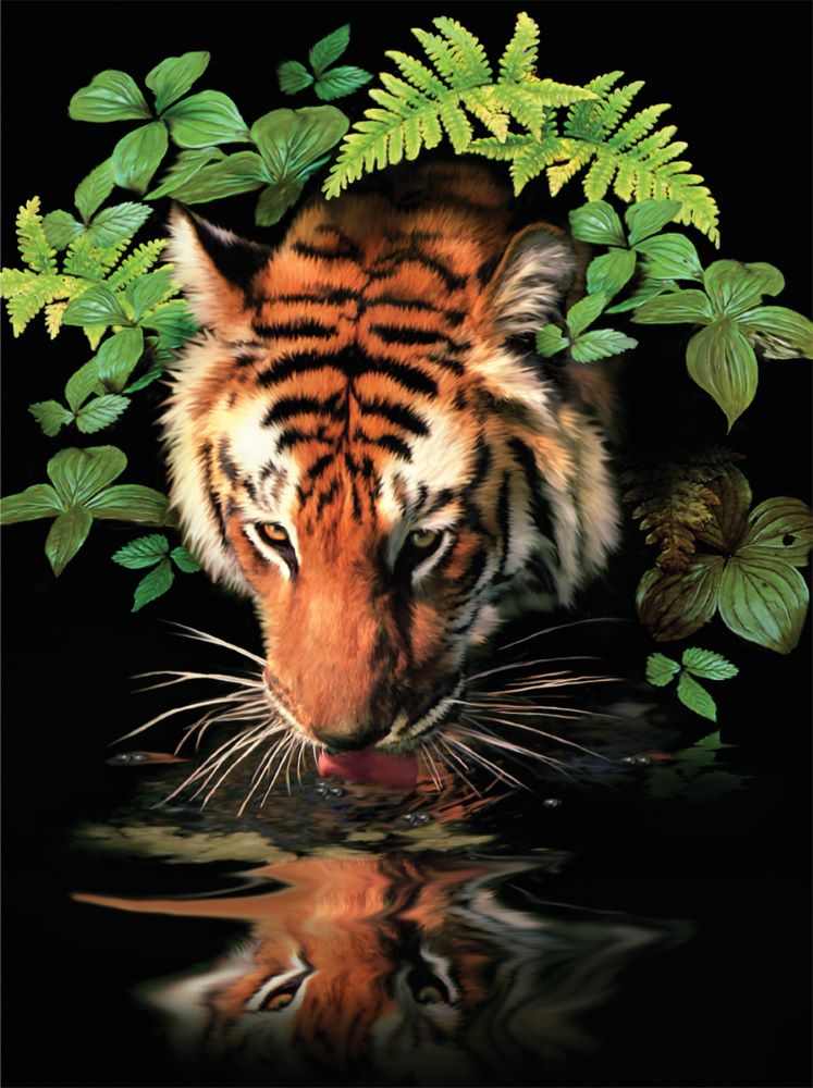 Malen nach Zahlen Junior, Durstiger Tiger