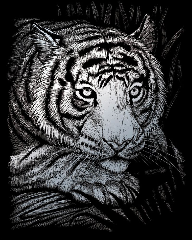 Kratzbild Weißer Tiger silber