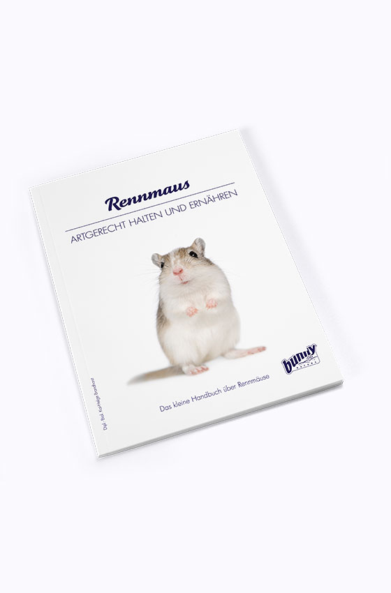 bunny Buch Rennmaus