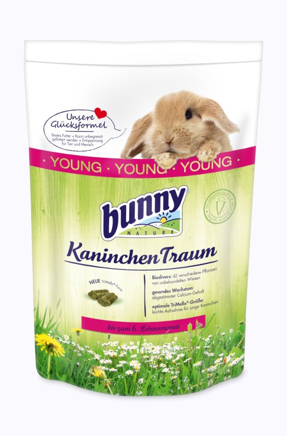 bunny Kaninchen Traum young 4kg