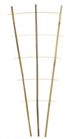 Landwerker Rankgitter Bambus 85 cm