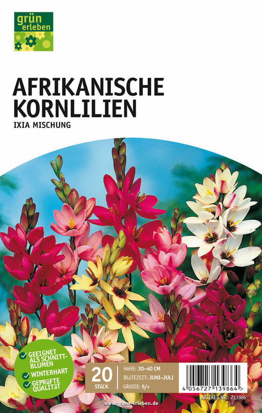 GRÜN ERLEBEN Afrikanische Kornlilien Mischung 20 Stück