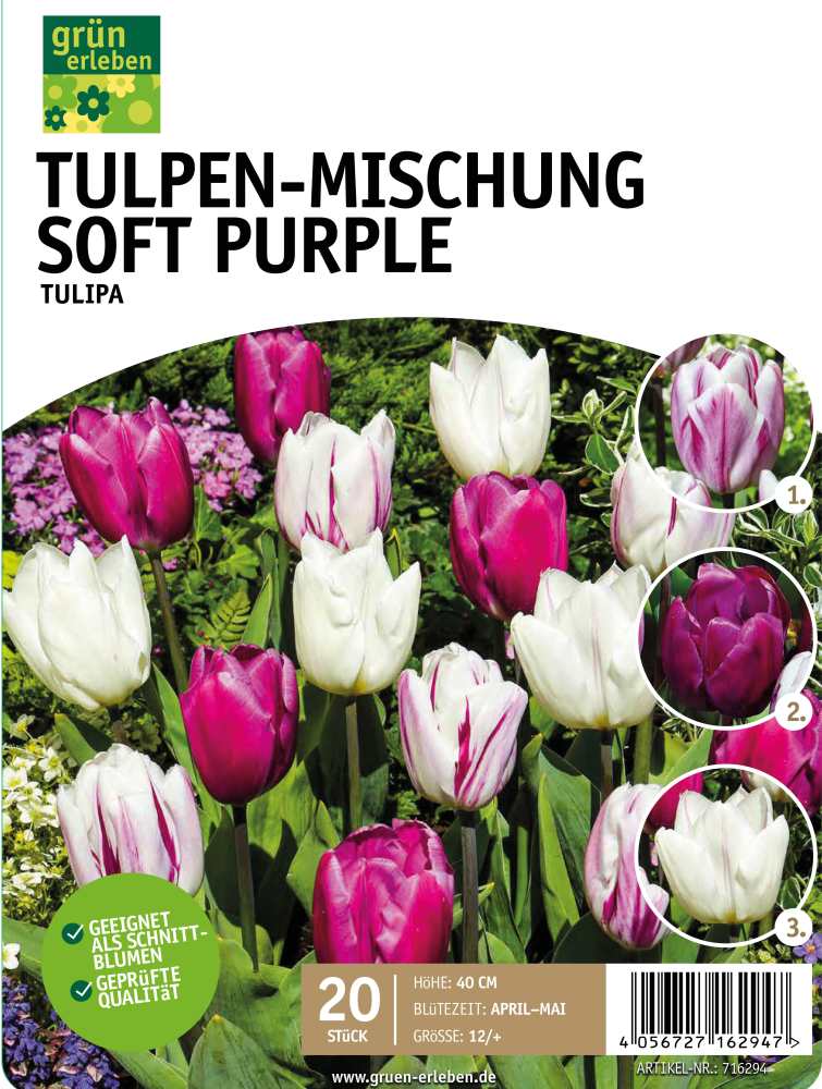 GRÜN ERLEBEN Tulpen-Mischung Soft Purple 20 Stück