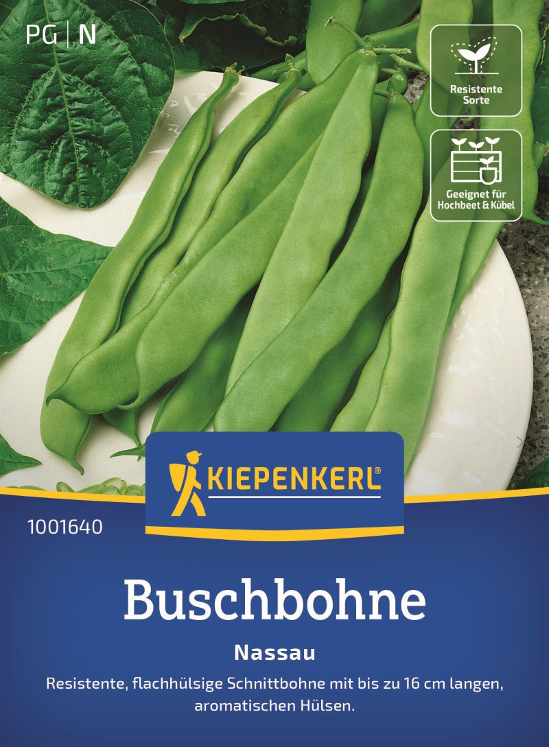 Buschbohne Nassau