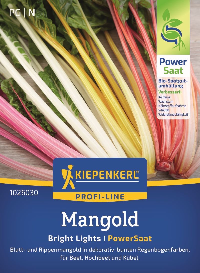 Mangold Bright Lights PowerSaat