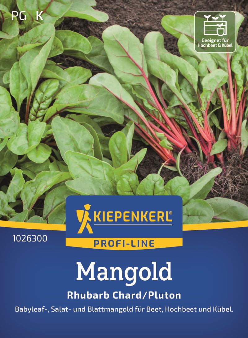 Mangold Rhubarb Chard/Pluton
