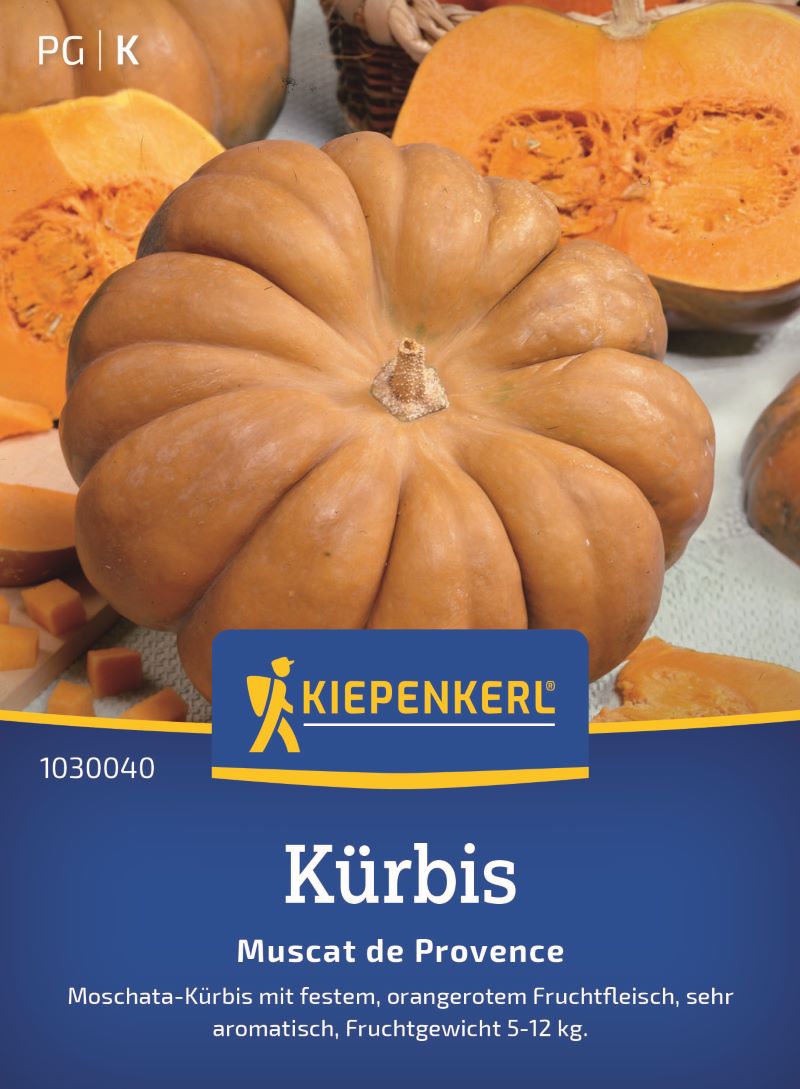 Kürbis Muscat de Provence